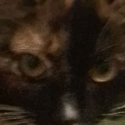 Vlaguveg, ������������, 38 ���