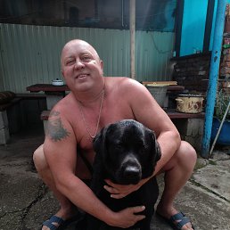 , 53 , 