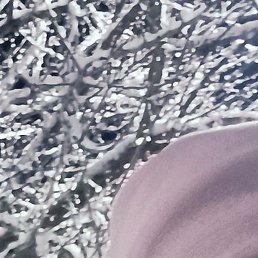 ������, ����, 33 ����