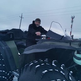 �����, ������, 49 ���