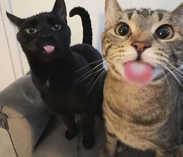 ��, ��� �� ��! - 3