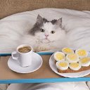 ���� ������, ���� - ��������� 25 ������ 2025 � ������ ���� ����������