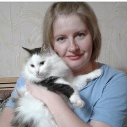 �������, �������, 51 ���