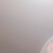 ����, 40 ���, ���������