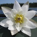 ���� ����, �����-��������� - ��������� 12 ������� 2025 � ������ ���� ����������