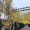 ���� �������, ���������, 57 ��� - ��������� 10 ������ 2025 � ������ ���� ����������