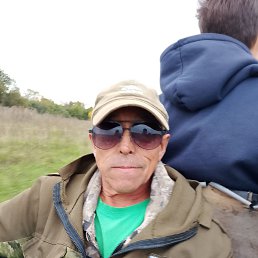 , 55, 