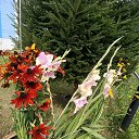 ���� �����, �������, 44 ���� - ��������� 15 ������ 2025 � ������ ���� ����������