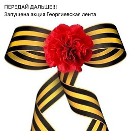 ���������, ����, 44 ����