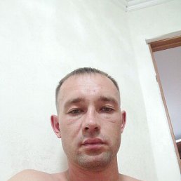 , 29, 