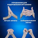 ���� Alexander, �����-���������, 77 ��� - ��������� 4 ������� 2025 � ������ ���� ����������