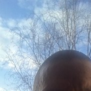 ��������, 41 ���, ������