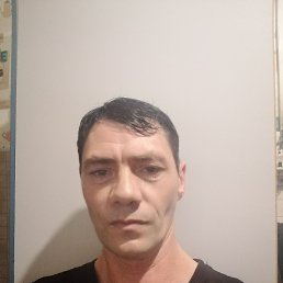 , 41 , 