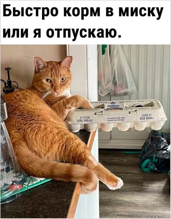 ....
