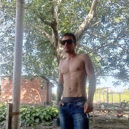 ������, ���������, 38 ���