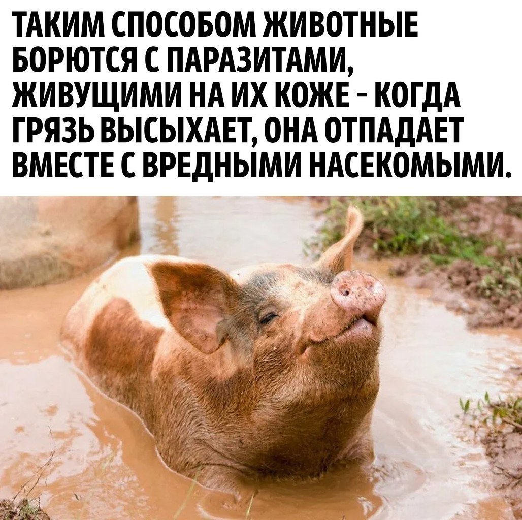   ,     - 2
