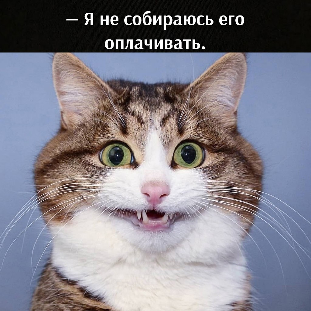       - 2  2025  17:42 - 4