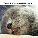 ���� ����, �������-��������� - ��������� 9 ������� 2026 � ������ ���� ����������