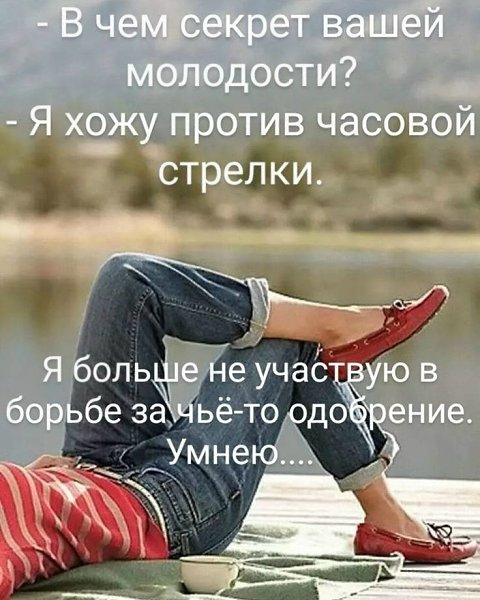 �������� - 25 ���� 2026 � 15:21 - 4