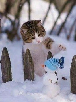 Последние выходные осени! Всем хорошего утра! А до зимы 5 дней! :) ¤¤¤¤¤¤¤¤¤¤¤¤¤¤¤¤¤¤¤¤¤¤¤¤¤