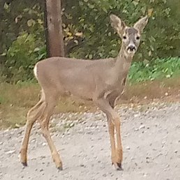 ���� �����, ������, 101 ��� - ��������� 26 ������ 2023