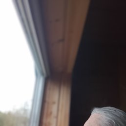 ���� ������, ������, 66 ��� - ��������� 11 ��� 2026
