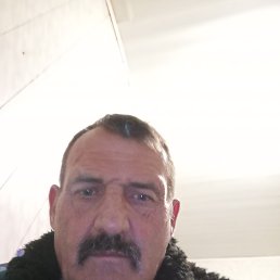 , 58, 