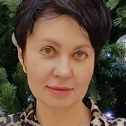 �������, ��������, 48 ���