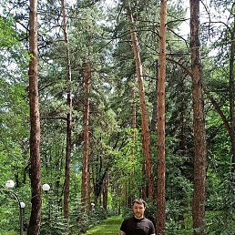 �����, ������, 35 ���