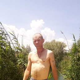 ���� ��������, ������, 49 ���