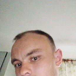 , 29, 