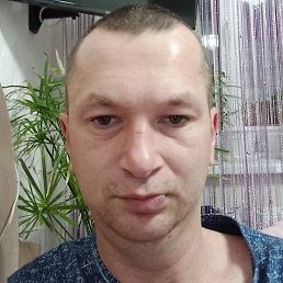 �����, ���, 33 ����