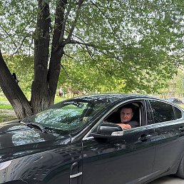 ������, ������, 54 ����