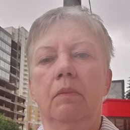 ����, ������, 66 ���