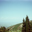 ���� ��������, �����, 38 ��� - ��������� 22 ������� 2024 � ������ ���� ����������