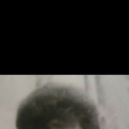 , 29, 