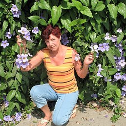 ������, ��������