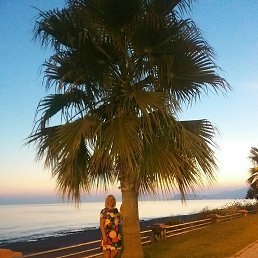 ����� Irus, ��������, 48 ���