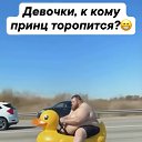 ���� ����, ������ - ��������� 11 �������� 2025 � ������ ���� ����������