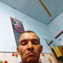 �����, 40 ���, ����