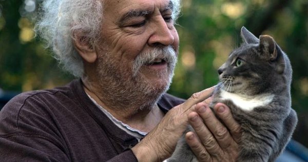 Кот - плакал! И все ревели навзрыд! Потому что он вернулся! Пёс Хатико стал символом верности и ...