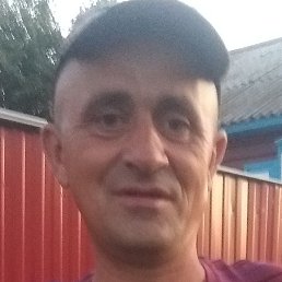 �������, ������, 44 ����