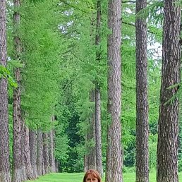 ���� �����, �����, 52 ���� - ��������� 15 ������� 2026