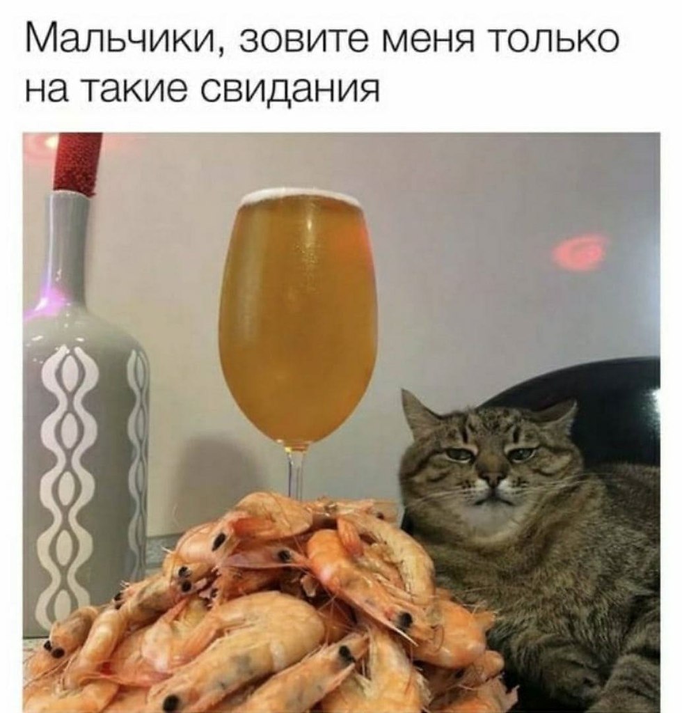    - 28  2024  02:19