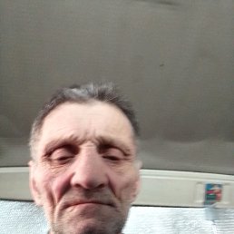 , 56, 