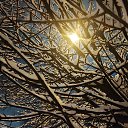 ���� �������, ������, 51 ��� - ��������� 15 ������ 2024 � ������ ���� ����������