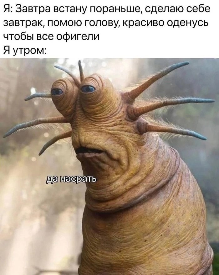  , .   ,      ...