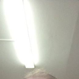 �������, 49 ���, ����������