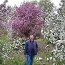 ���� �������, ���������, 46 ��� - ��������� 8 ��� 2025 � ������ ���� ����������