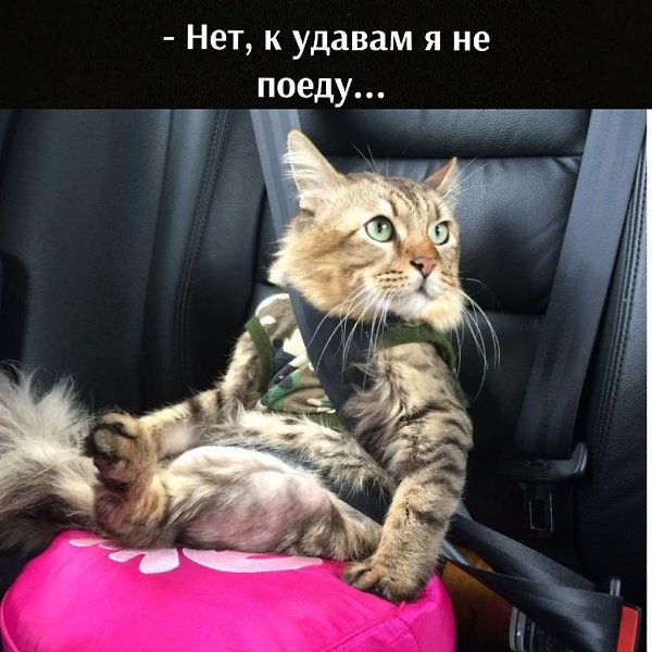 ��� ���� � ����� �� �� - 22 �������� 2026 � 11:35 - 2